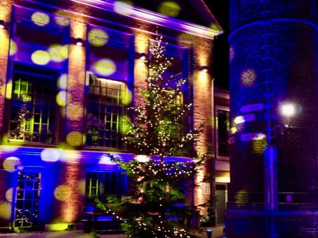 Bunte Lichter reflektieren auf einem Gebäude mit einem beleuchteten Baum.